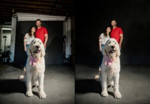 dogs with a human retouching